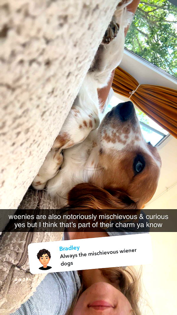 laurenj.fit image ~ Altpins