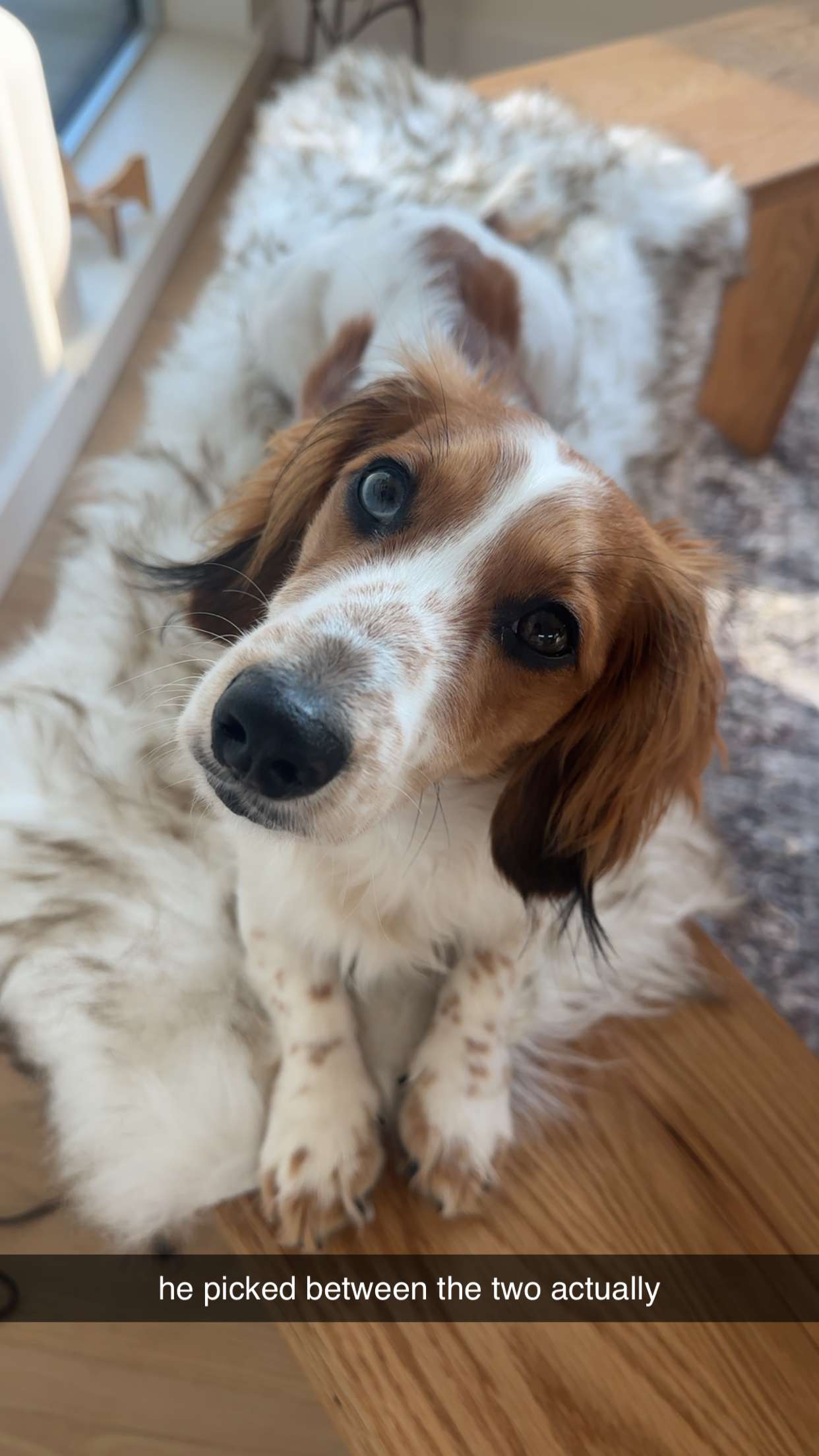 laurenj.fit snapchat image archive image