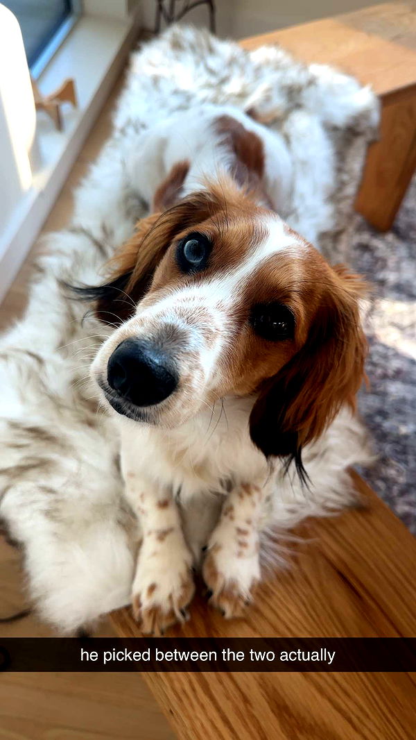 laurenj.fit image ~ Altpins