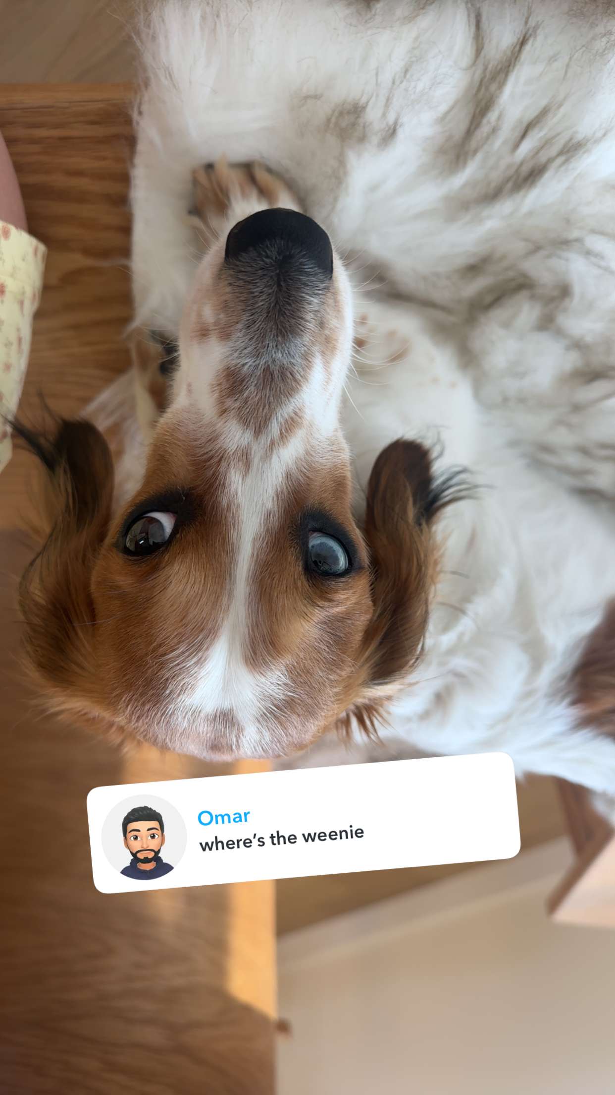 laurenj.fit snapchat image archive image