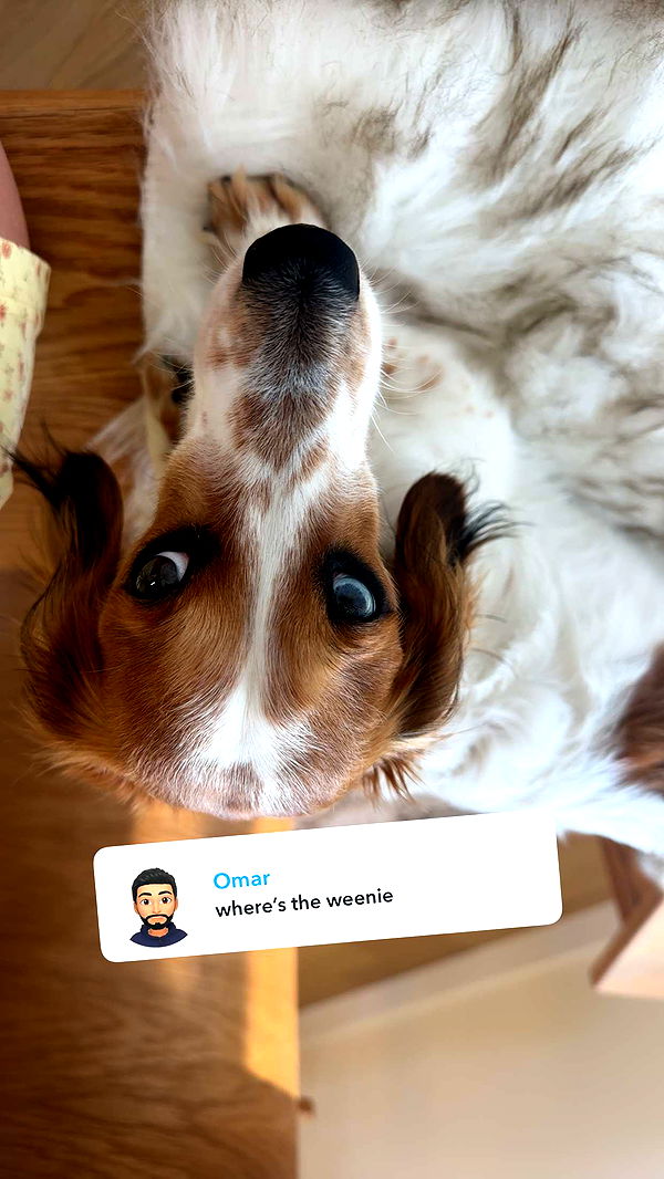 laurenj.fit image ~ Altpins