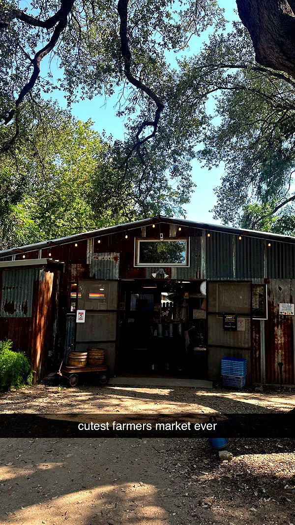 laurenj.fit image ~ Altpins