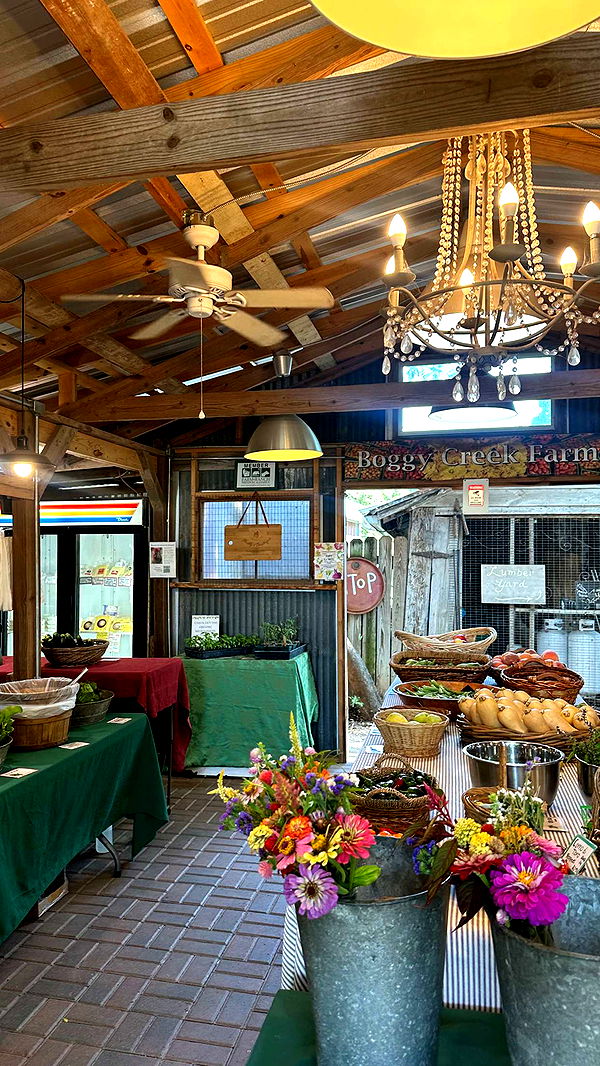 laurenj.fit image ~ Altpins