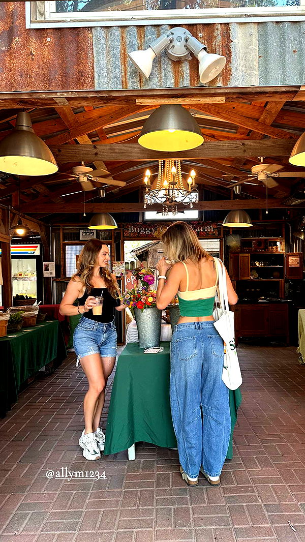 laurenj.fit image ~ Altpins