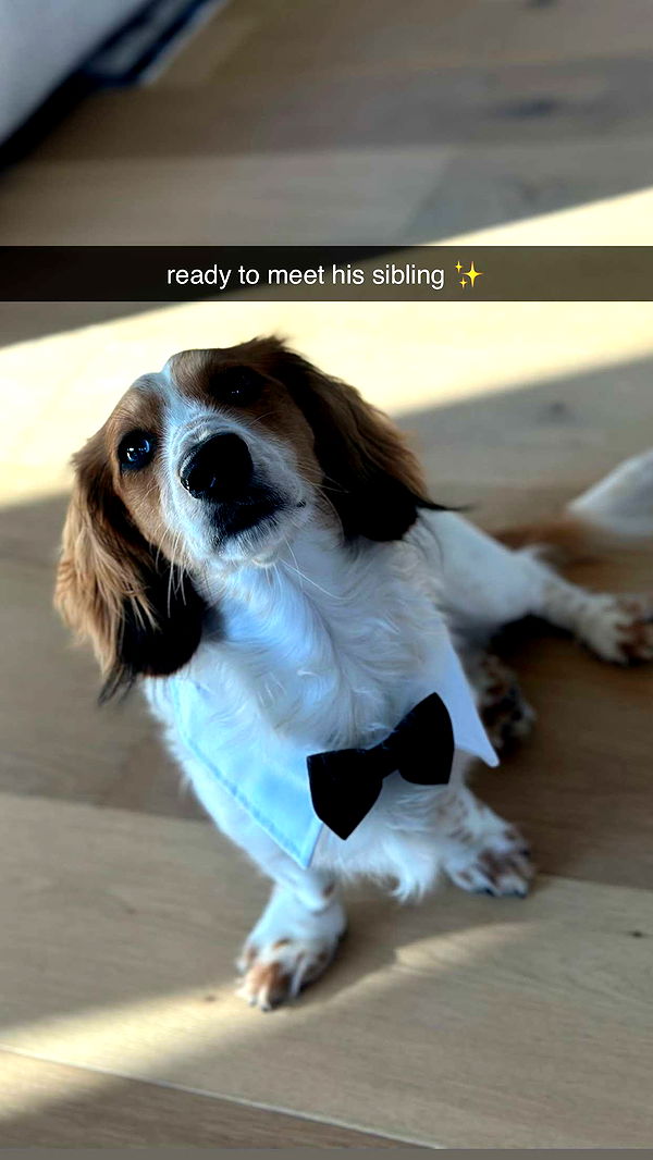 laurenj.fit image ~ Altpins