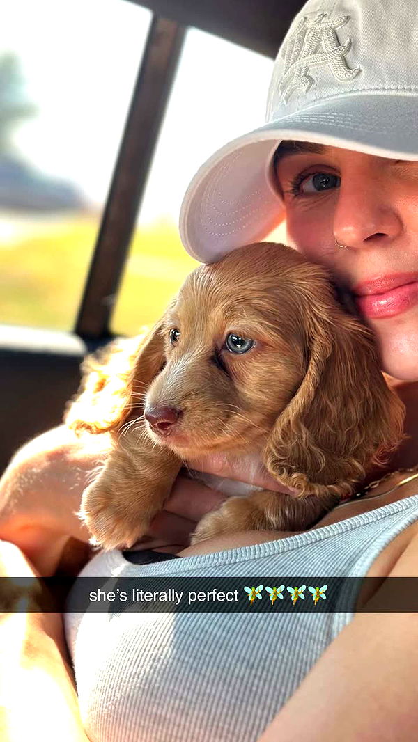 laurenj.fit image ~ Altpins