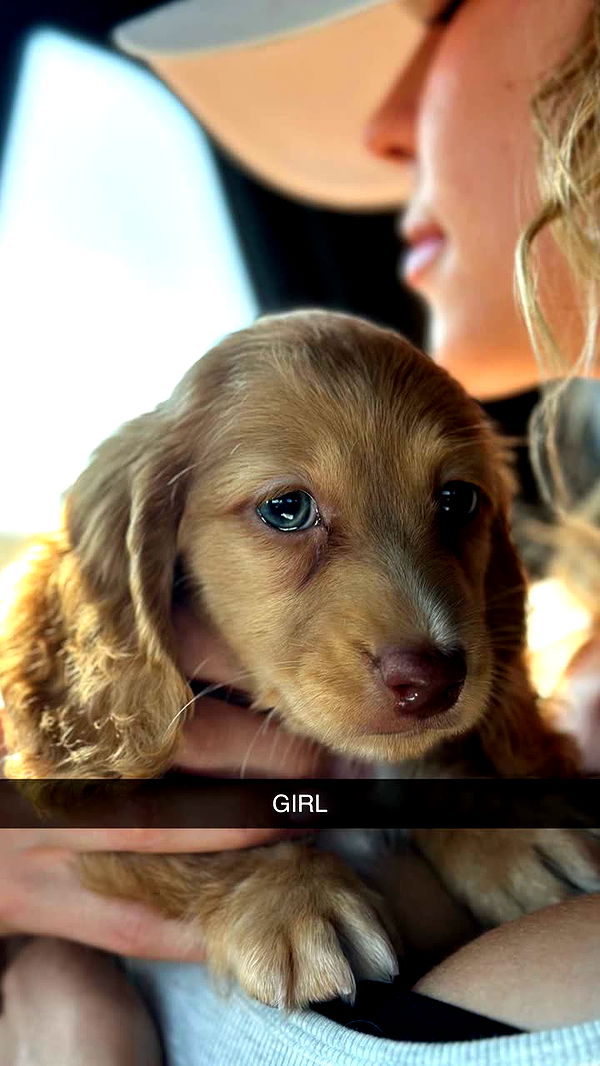 laurenj.fit image ~ Altpins