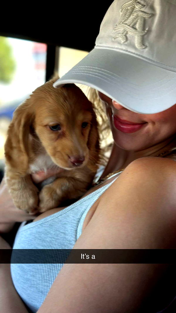 laurenj.fit image ~ Altpins