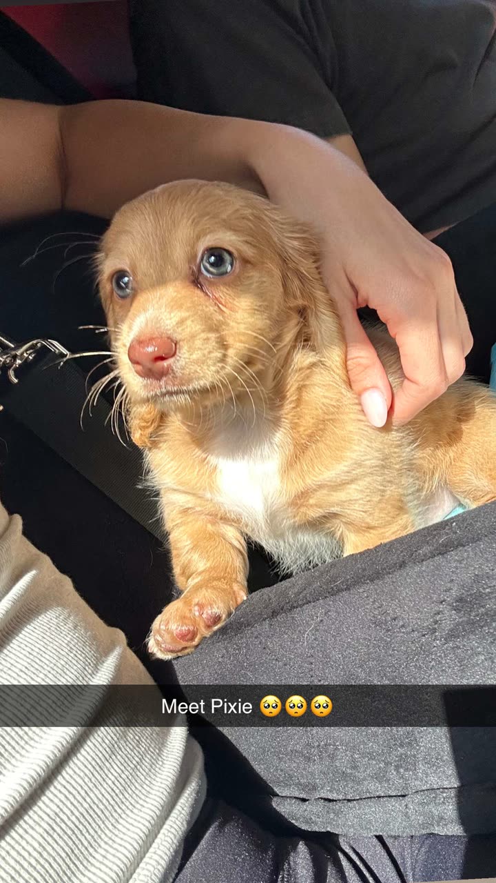 laurenj.fit snapchat image archive image