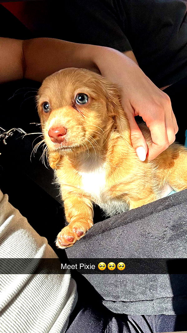 laurenj.fit image ~ Altpins