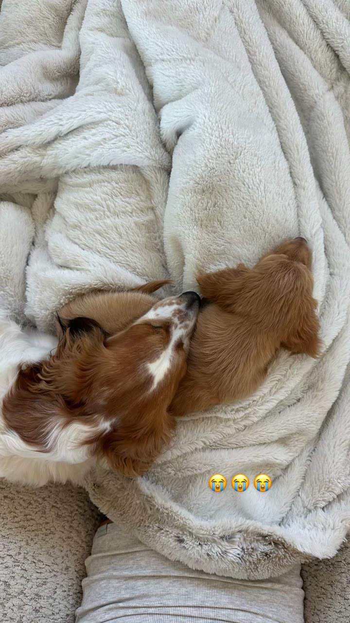 laurenj.fit snapchat image archive image