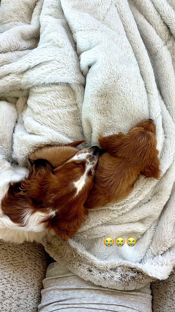 laurenj.fit image ~ Altpins