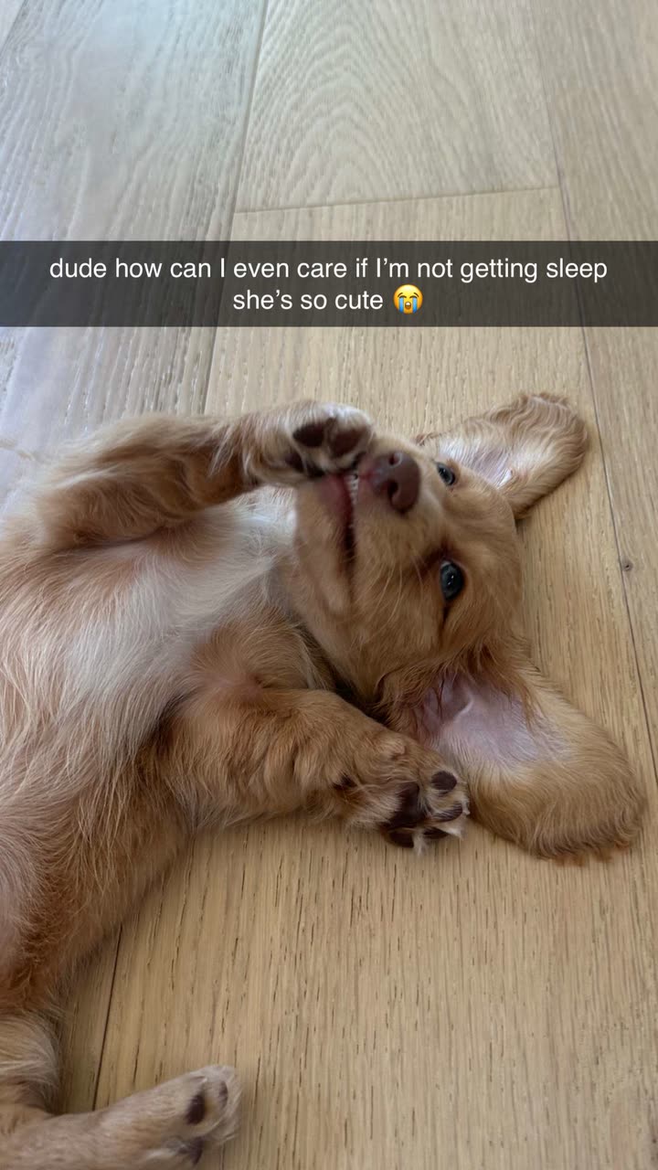 laurenj.fit snapchat image archive image