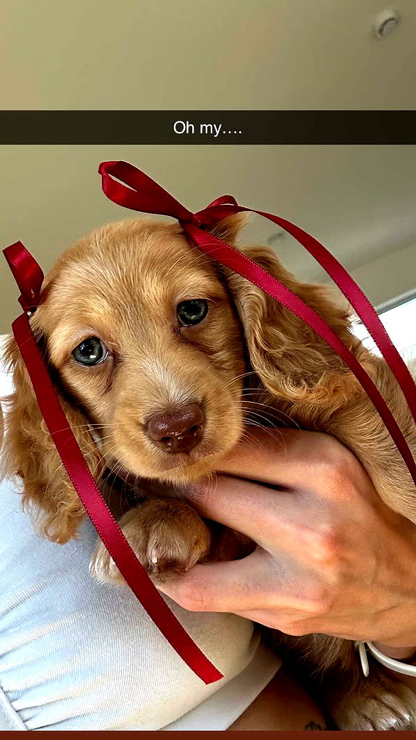 laurenj.fit image ~ Altpins