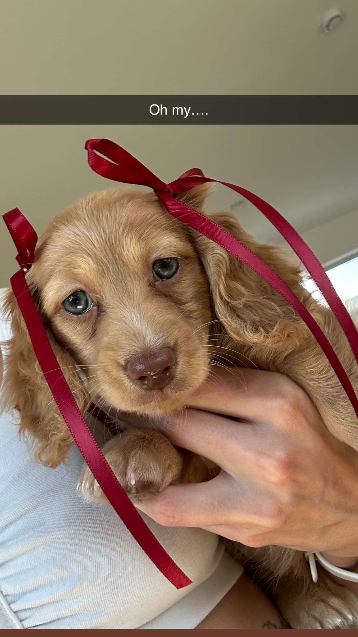 laurenj.fit snapchat image archive image