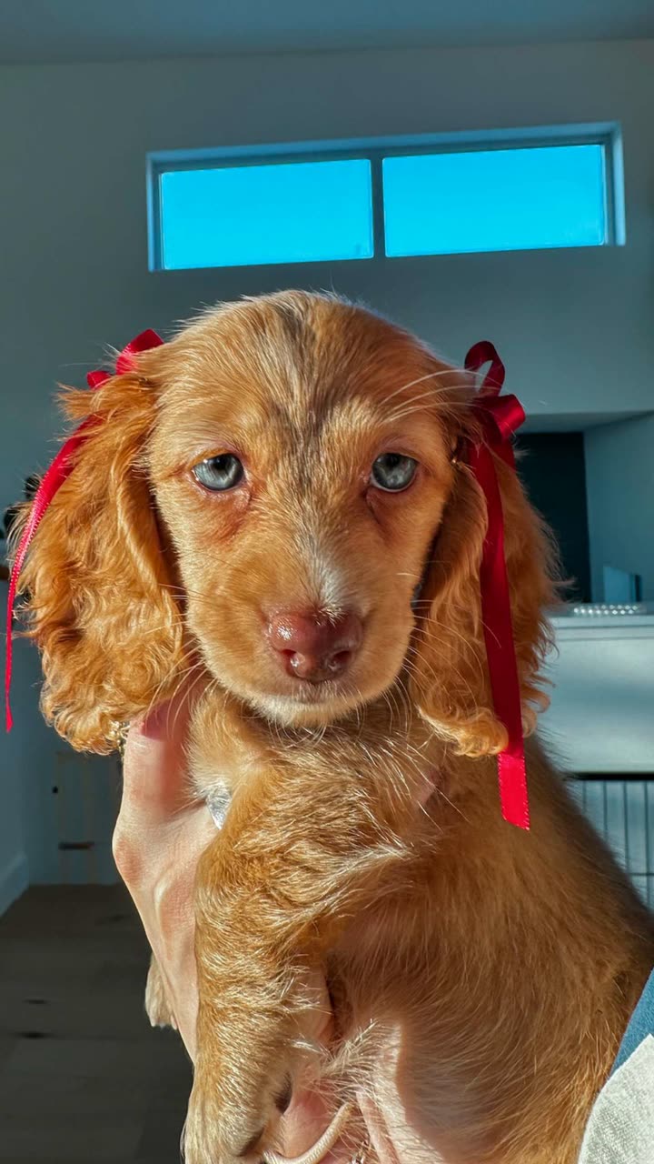 laurenj.fit snapchat image archive image