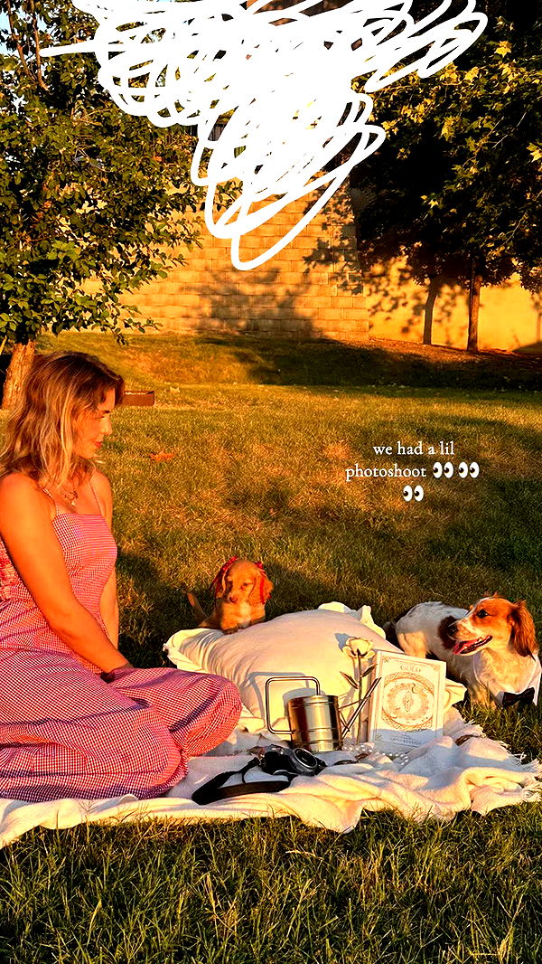 laurenj.fit image ~ Altpins