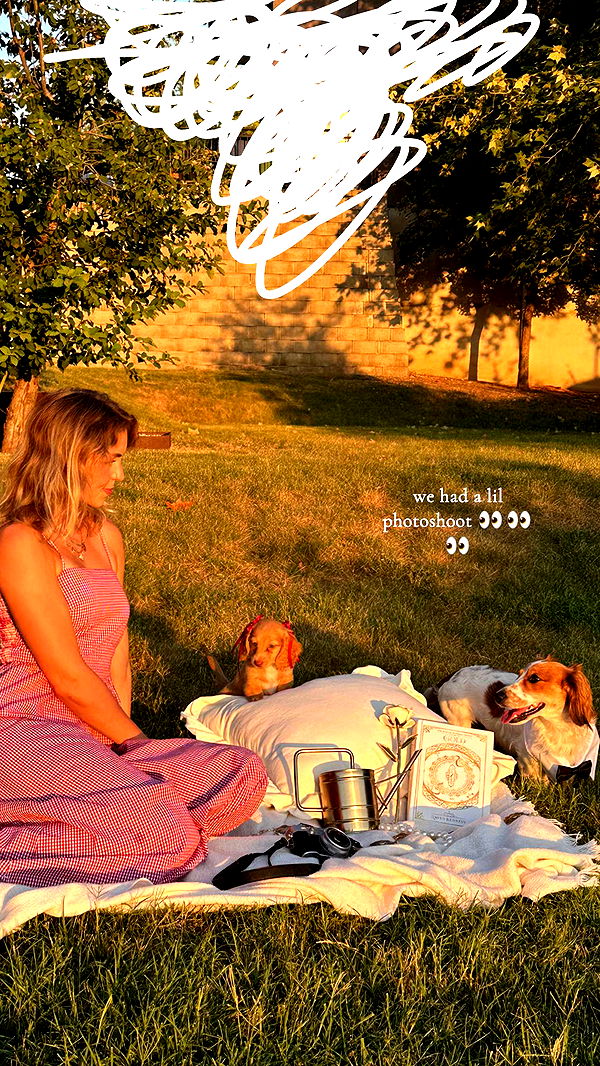 laurenj.fit image ~ Altpins