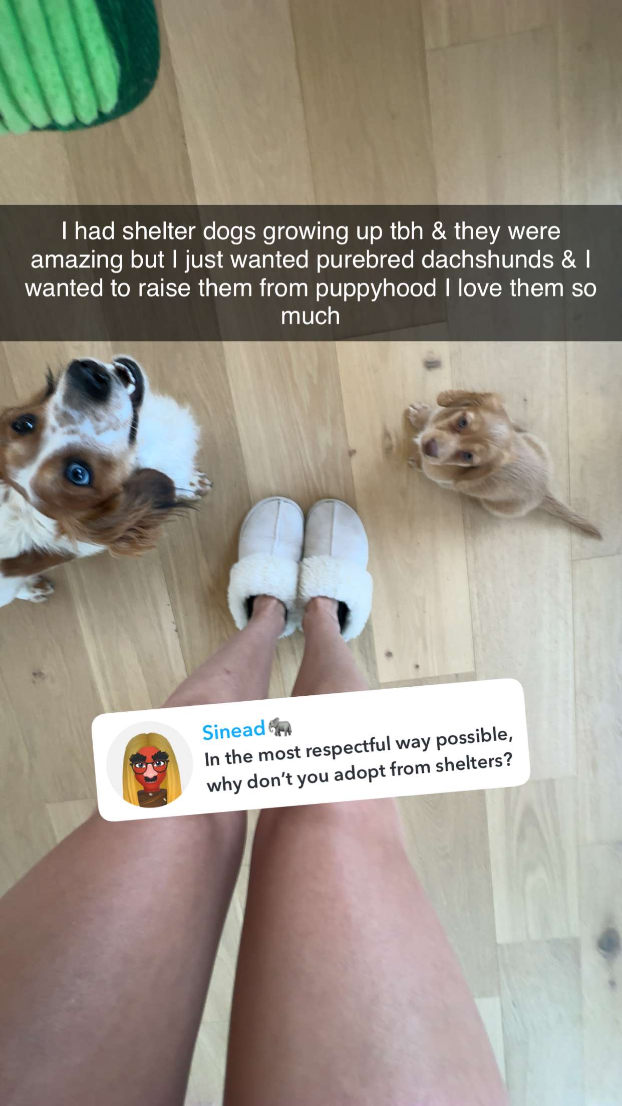 laurenj.fit snapchat image archive image