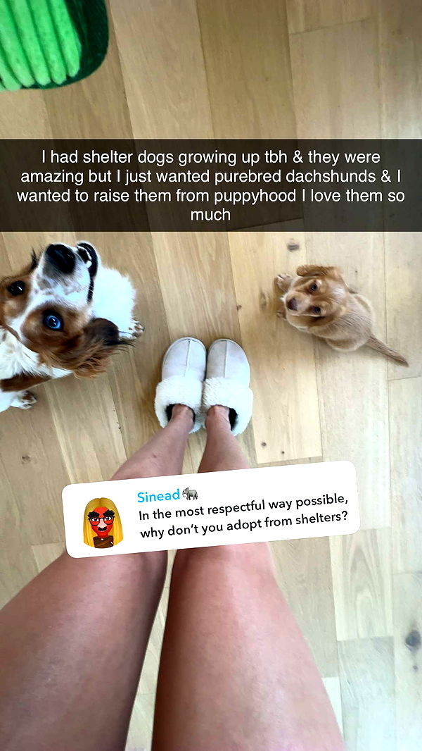 laurenj.fit image ~ Altpins