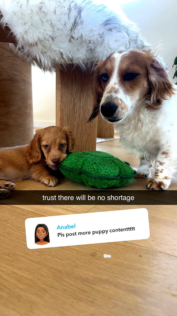 laurenj.fit image ~ Altpins