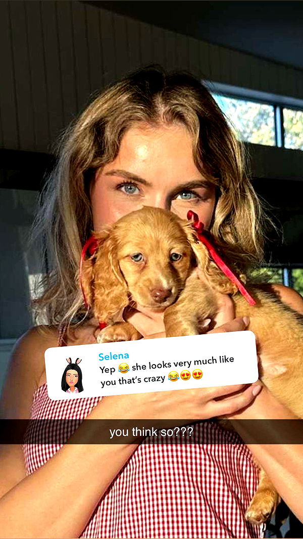 laurenj.fit image ~ Altpins