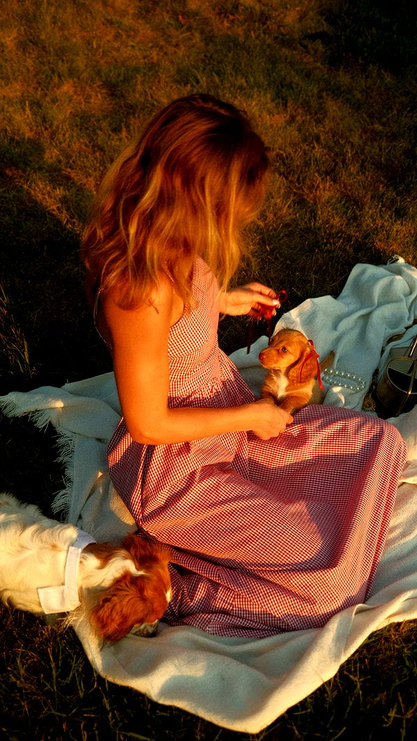 laurenj.fit image ~ Altpins