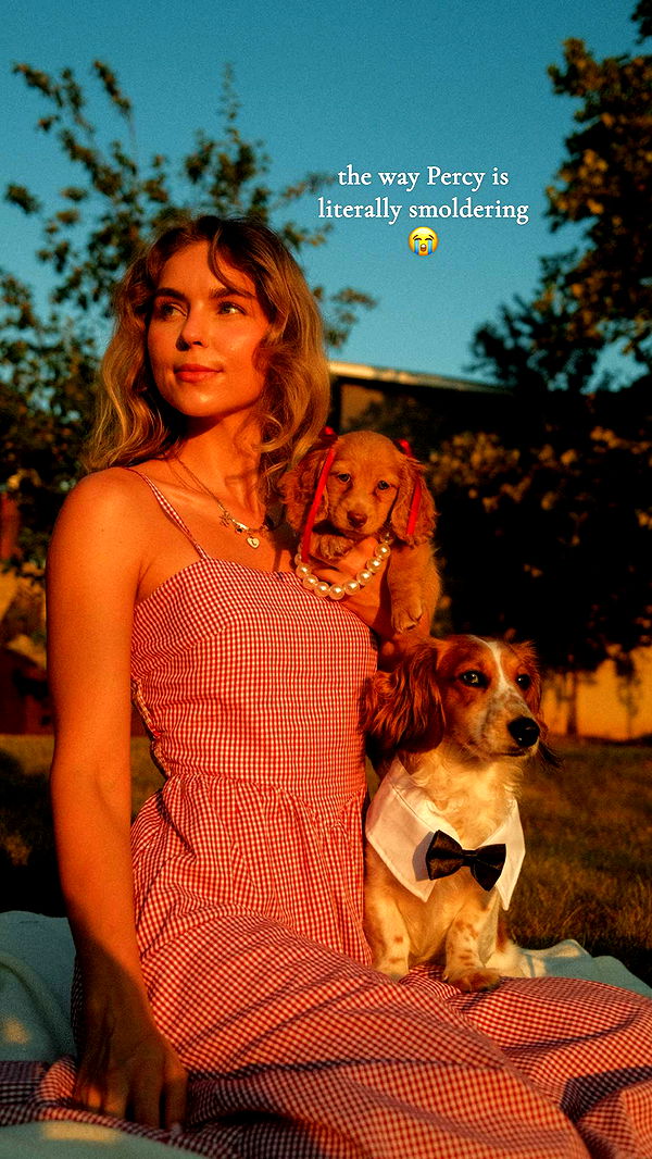 laurenj.fit image ~ Altpins