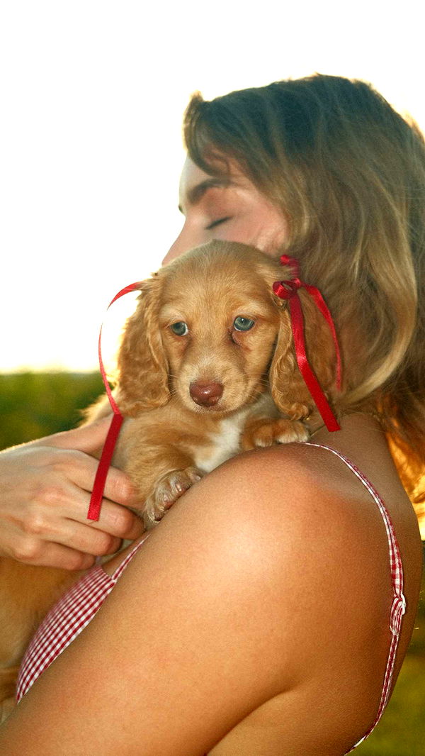 laurenj.fit image ~ Altpins