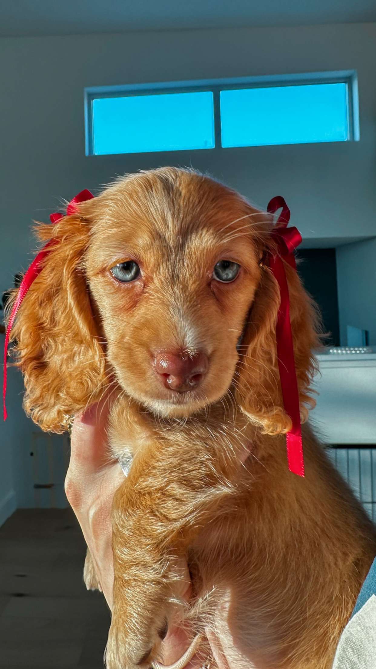 laurenj.fit snapchat image archive image