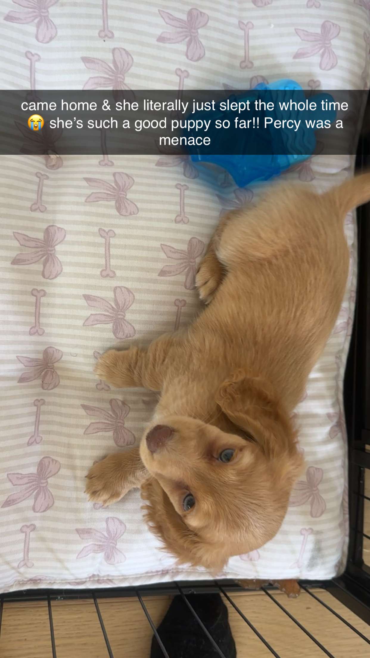 laurenj.fit snapchat image archive image