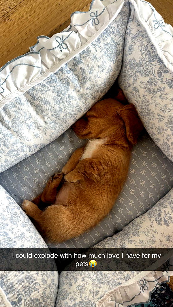 laurenj.fit image ~ Altpins