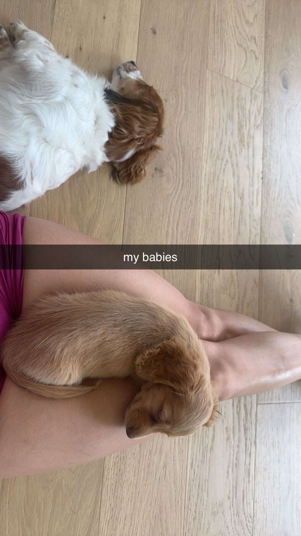 laurenj.fit snapchat image archive image