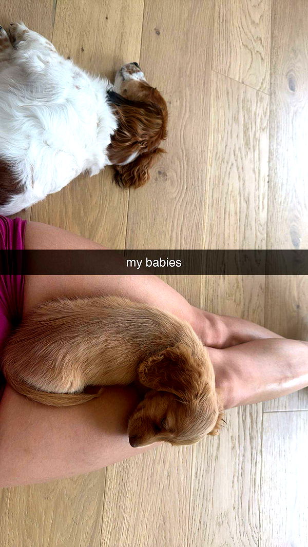 laurenj.fit image ~ Altpins