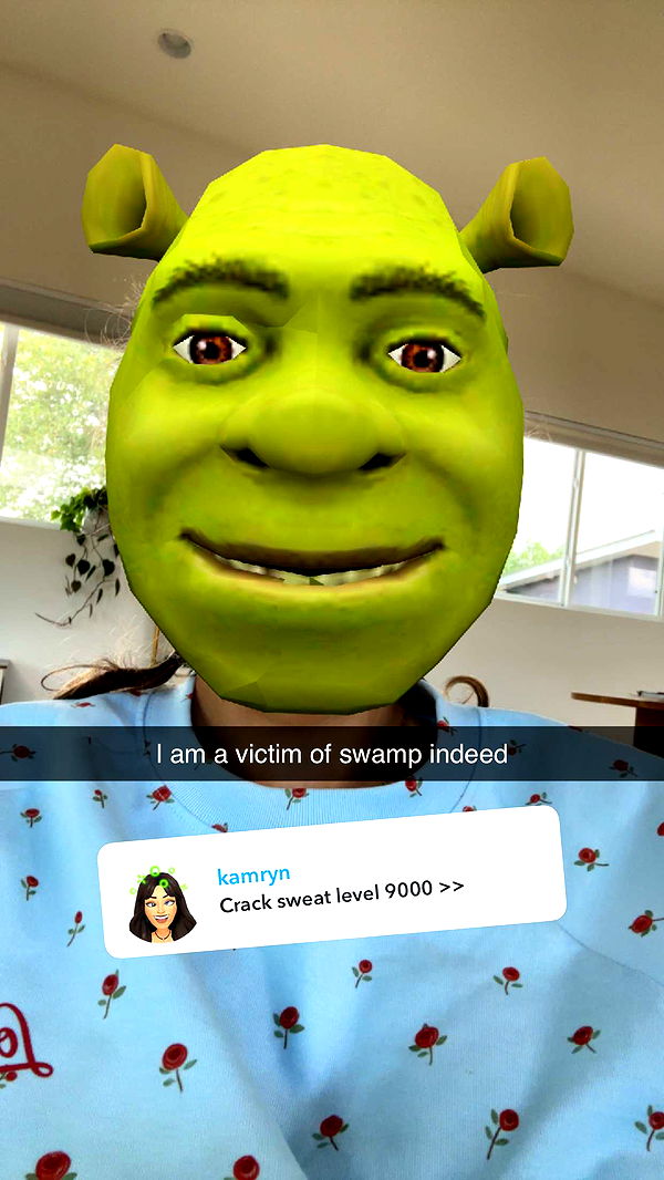 laurenj.fit image ~ Altpins