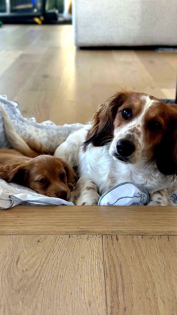 laurenj.fit image ~ Altpins