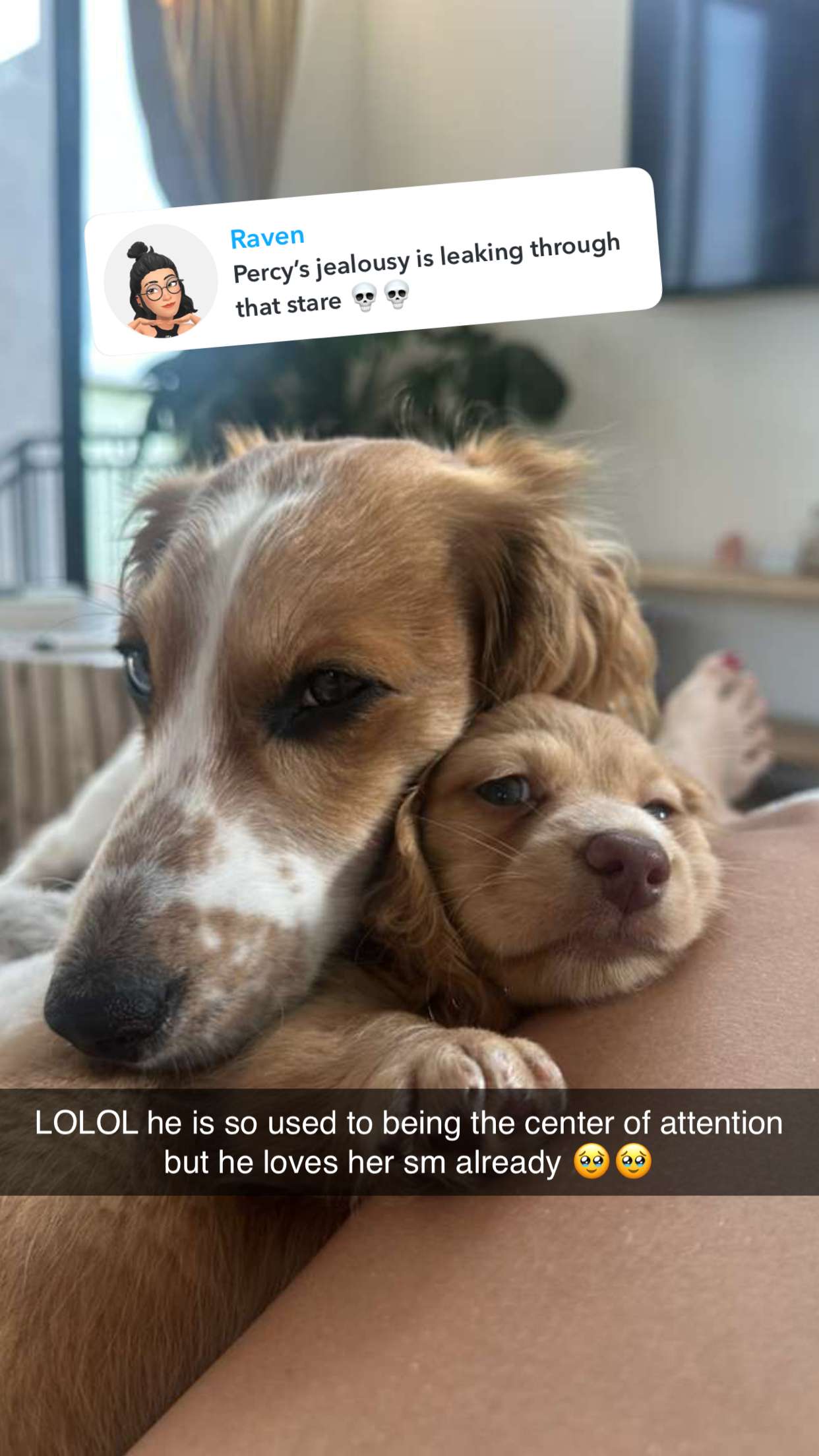 laurenj.fit snapchat image archive image