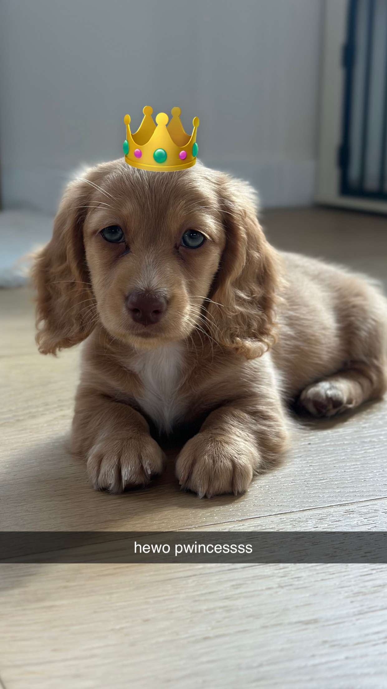 laurenj.fit snapchat image archive image