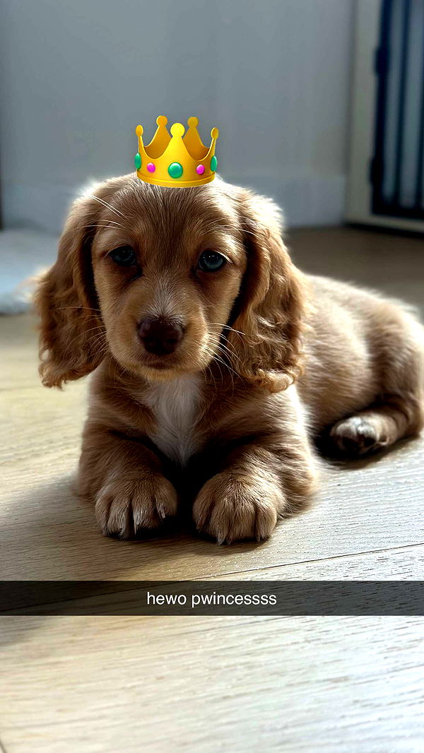 laurenj.fit image ~ Altpins