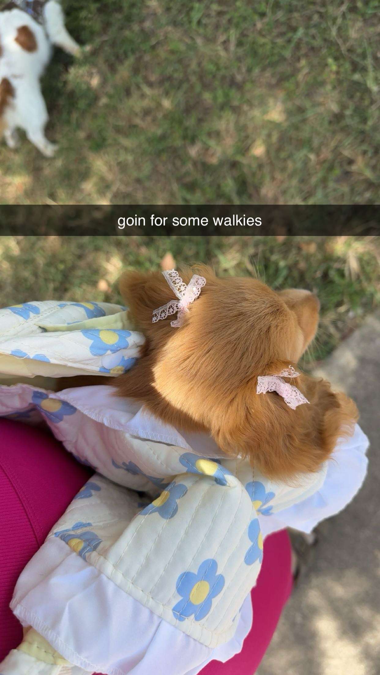 laurenj.fit snapchat image archive image