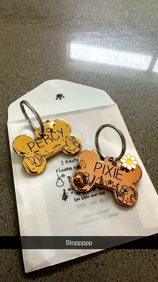 laurenj.fit image ~ Altpins