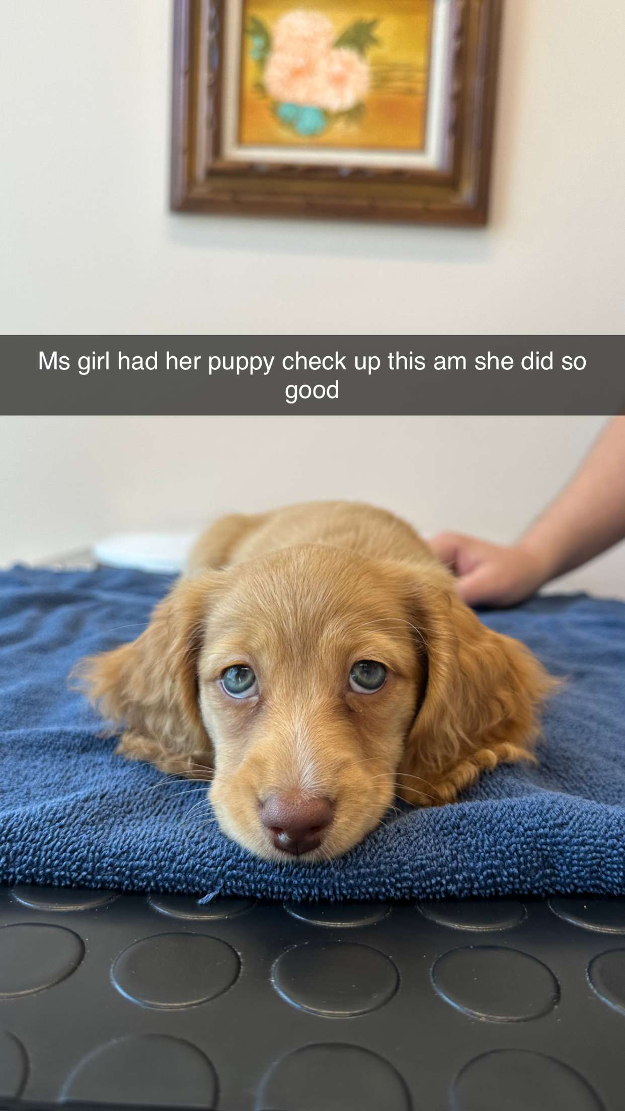 laurenj.fit snapchat image archive image