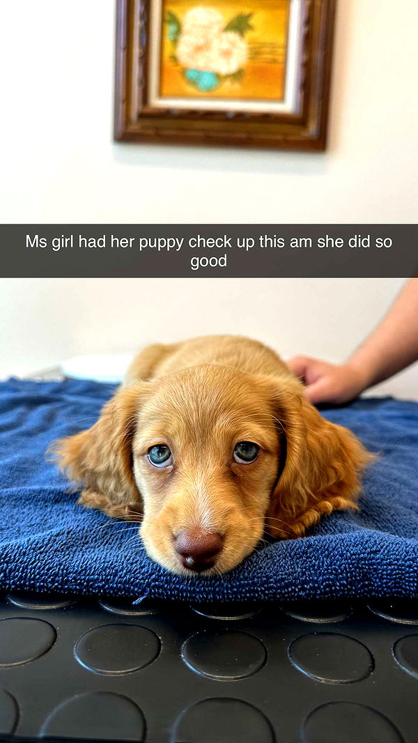 laurenj.fit image ~ Altpins