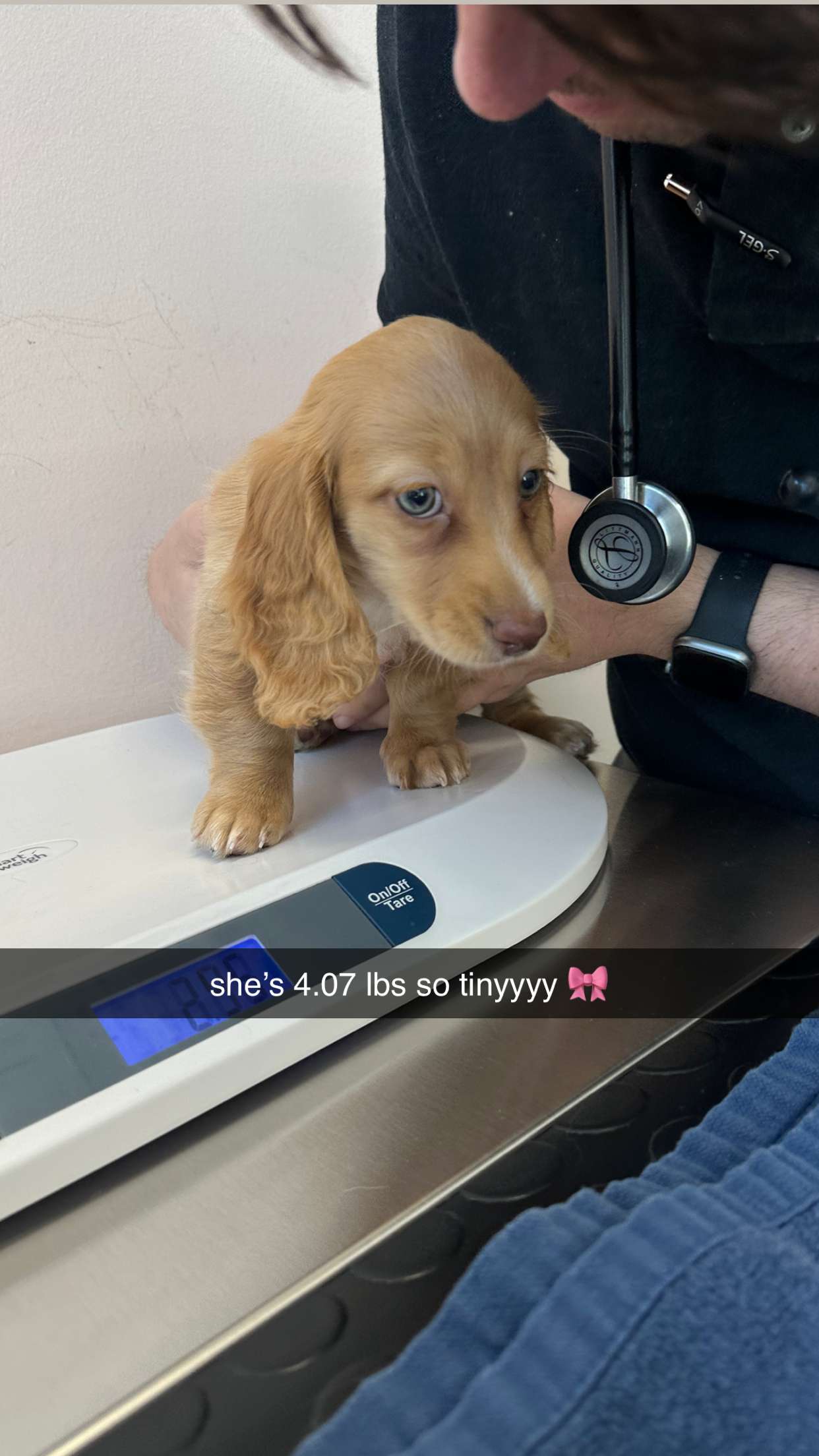 laurenj.fit snapchat image archive image