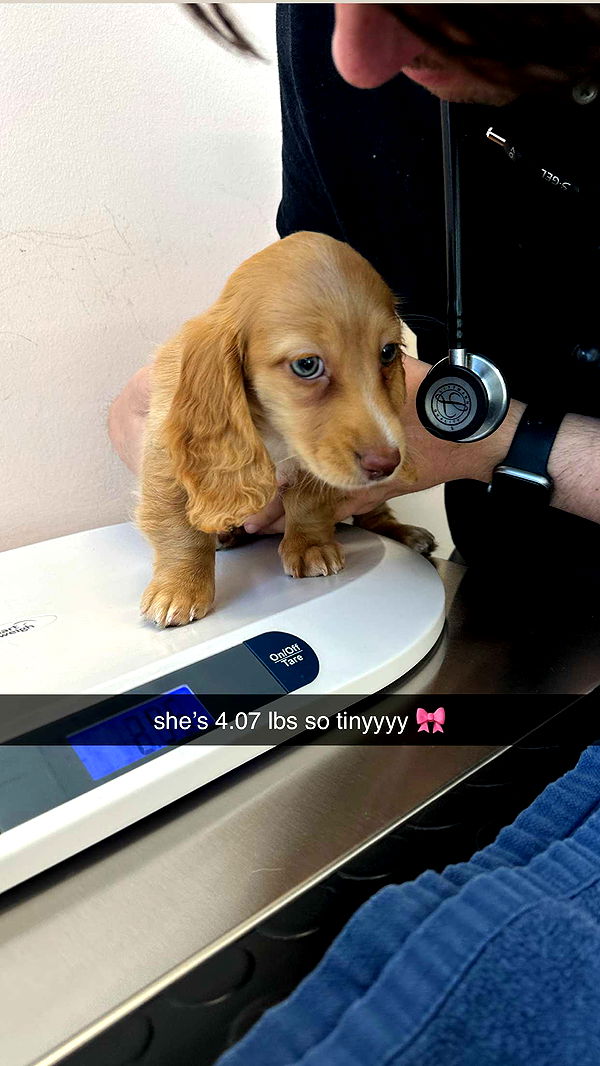 laurenj.fit image ~ Altpins