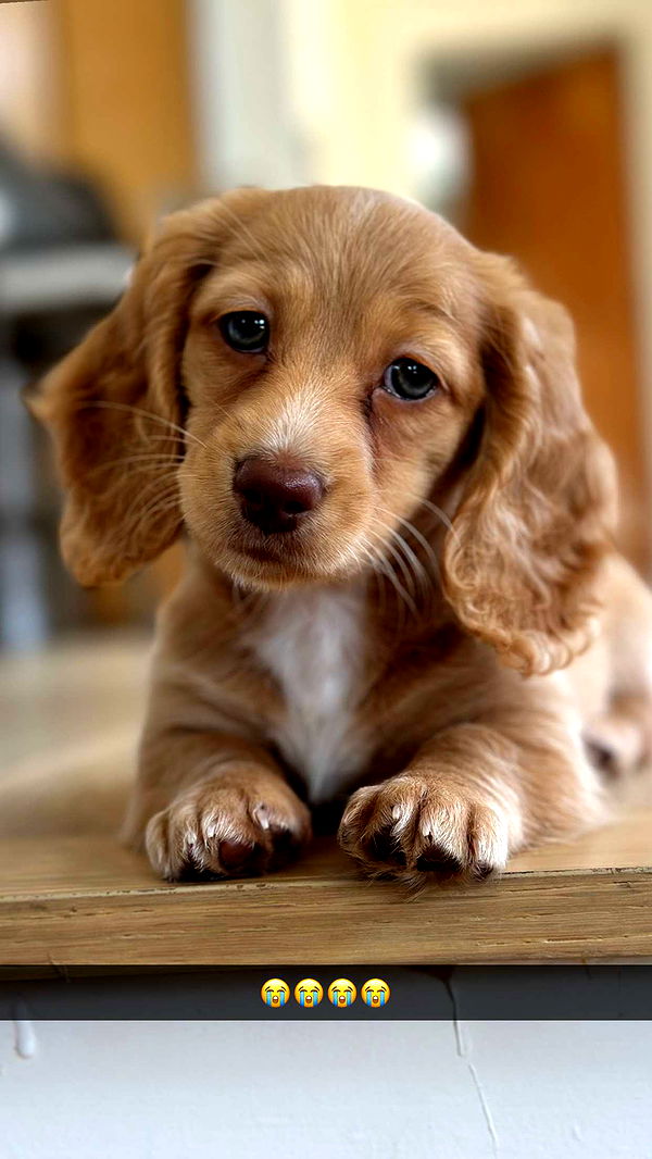 laurenj.fit image ~ Altpins