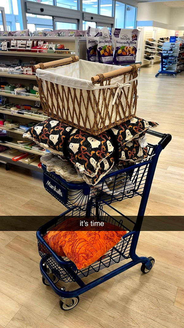 laurenj.fit image ~ Altpins