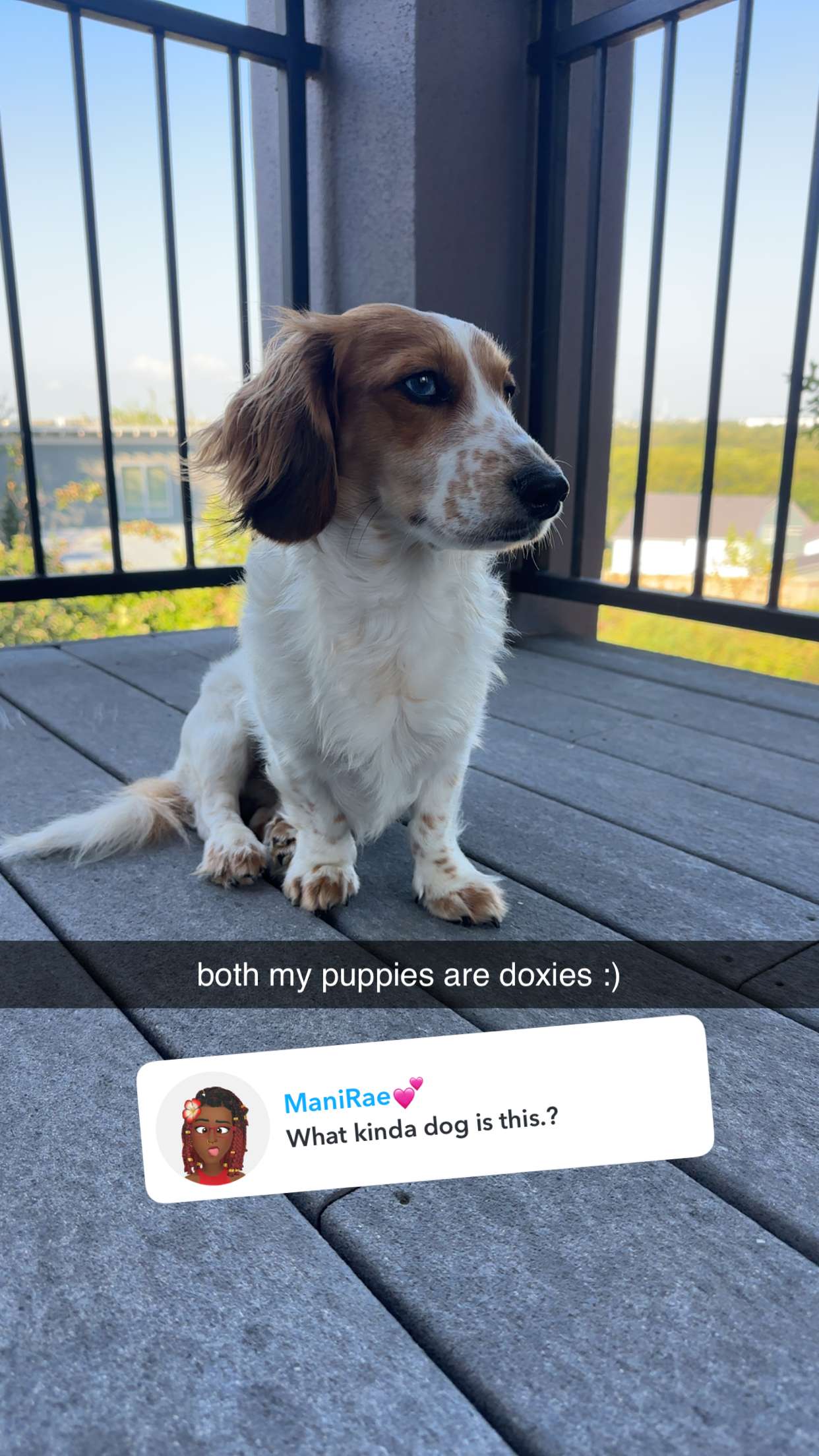 laurenj.fit snapchat image archive image