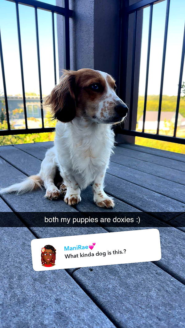 laurenj.fit image ~ Altpins