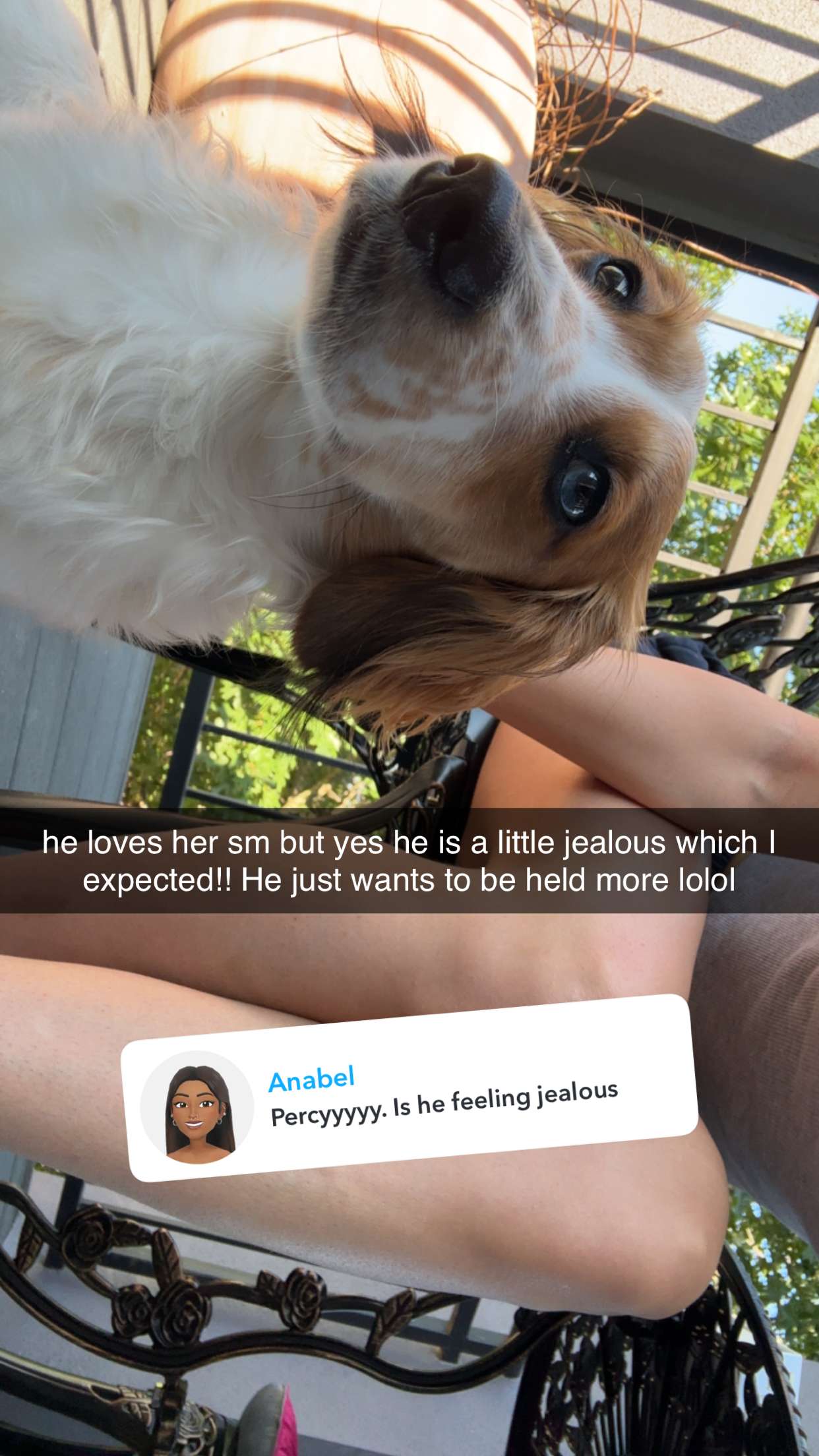 laurenj.fit snapchat image archive image